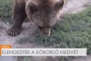 Hétvégi hírösszefoglaló