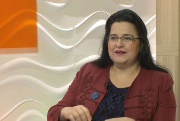 Ősz a galériában – Józsa Judit